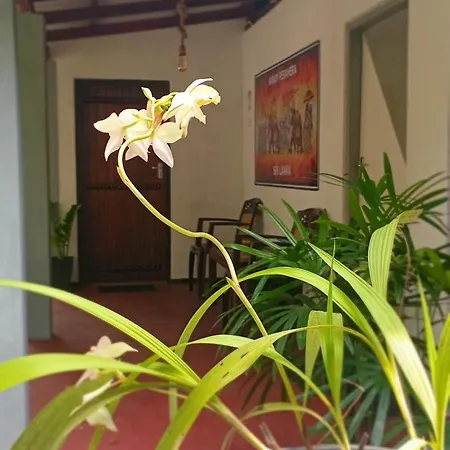 Ostello Surf Resort Ahangama Room photo