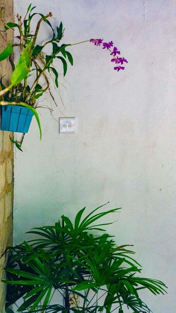 Surf Homestay
