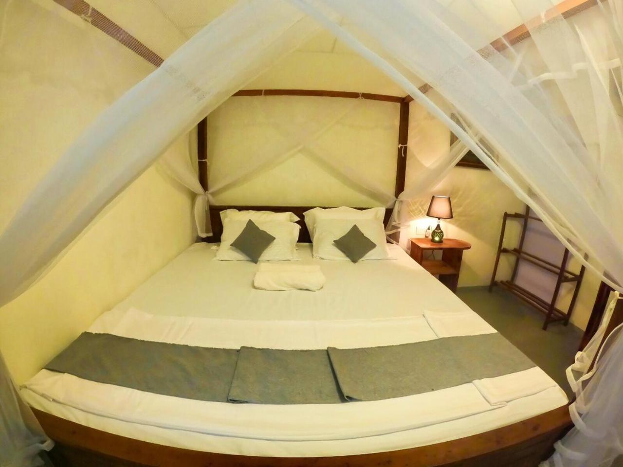 Homestay Surf