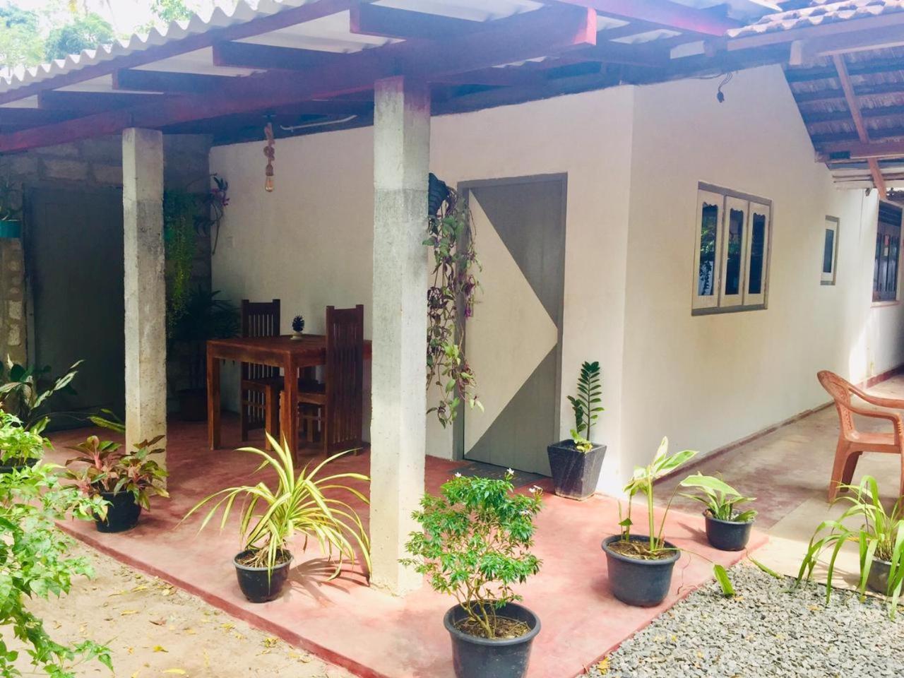 Homestay Surf *